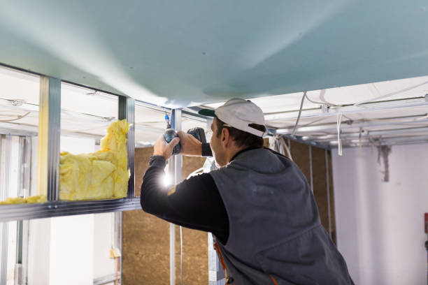 Best Types of Insulation in Mount Clemens, MI