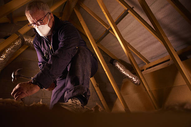 Best Energy Efficiency Solutions in Mount Clemens, MI